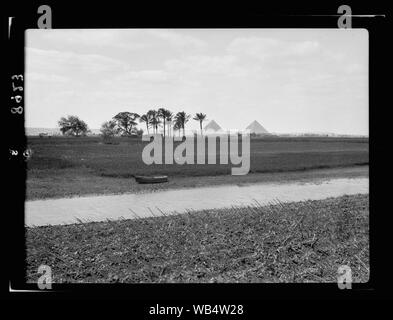 Ägypten. Pyramiden von Gizeh. Blick von der Straße auf die Memphis, Land Goschen, mit Bewässerung Kanal im Vordergrund Abstract / Medium: G. Eric und Edith Matson Fotosammlung Stockfoto