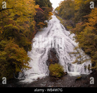 Herbst Wald am Yudaki fällt bei Nikko Tochigi in Japan Stockfoto