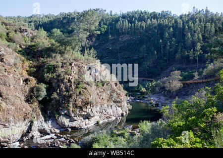 "Passadiços do Paiva Paiva (Gehwege) in der Gemeinde von Alvor, Bezirk Aveiro, Portugal. Stockfoto