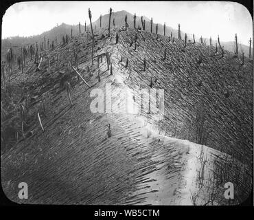 Staub bedeckt Ridge der Bunker Hill, Richmond estate YORYM-TA 0006. Stockfoto