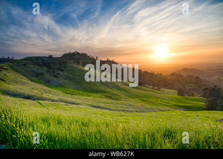 Sonnenuntergang über die Felder in der Nähe von Figueroa Mountain im Santa Ynez Valley, Kalifornien Stockfoto