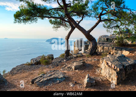 Blick auf heybeliada Insel aus der Nähe von Aya Yorgi auf Büyükada Insel in der Türkei Stockfoto