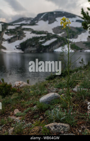 Sonnenuntergang bei einem alpinen See in Colorado's Indian Peaks Wilderness. Stockfoto