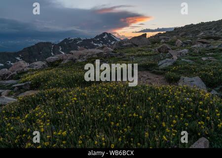 Sonnenuntergang in der Nähe von 14.000 auf Mount Evans Road. Stockfoto