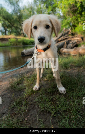 Genießen Sie einen Spaziergang am Fluss. Stockfoto