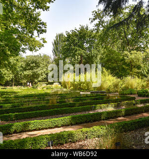 Madrid, Spanien - 21. Juli 2019: Royal Botanical Gardens (Real Jardin Botanico) Stockfoto