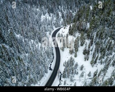 Luftaufnahme der Straße neben den Kiefern, die in bedeckt sind Schnee Stockfoto