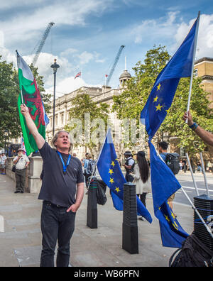 LONDON, ENGLAND/GROSSBRITANNIEN - 21. AUGUST 2019: Anti-Brexit Demonstranten zeigen außerhalb der London Cabinet Office, wie Polizei, Whitehall, London. Stockfoto