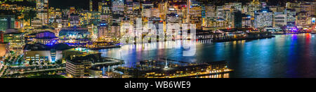 Wellington City und Hafen gesehen vom Mount Victoria. Wellington ist die Hauptstadt von Neuseeland und ist am unteren Ende der Nordinsel. Stockfoto