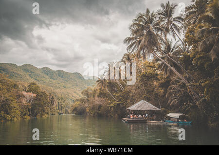 Bohol Dschungel, Tarsier und Chocolate Hills, in Cebu, Philippinen Stockfoto