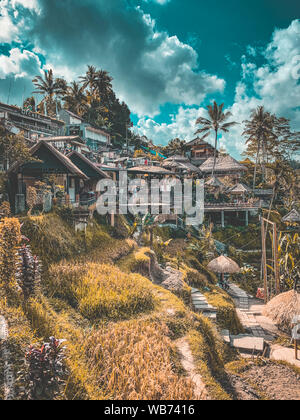 Tegallalang Reisterrassen von oben, in Ubud, Bali, Indonesien Stockfoto