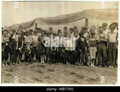 Feld - Arbeiter, Amer. Sumatra Tabak Co die Supp. die Jungen, die am Ende der Zeilen aufgerufen und wir fanden 47 Jungen von 9 bis 15 Jahren, alle Arbeiten, konnte aber nicht an Sie alle. Die Supp. sagte, haben wir Jungen einzustellen, weil wir nicht erhalten können, Männer, die Arbeit zu erledigen. Viele von ihnen leben in Hartford, Anschl. und hin und her auf der Katze gehen. Abstract: Fotografien aus den Aufzeichnungen des Nationalen Kinderarbeit Committee (USA) Stockfoto