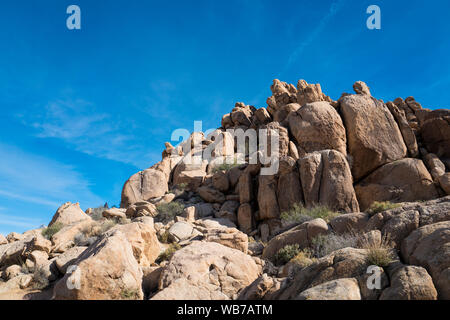 Blick auf Joshua Tree National Park. Der Park ist ein US-amerikanischer Nationalpark im Südosten von Kalifornien, östlich von Los Angeles. Der Park ist für die Jo benannt Stockfoto