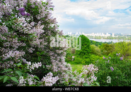 The city skyline of Kiev from the height of bird flight under the clouds on a sunny day. Stockfoto