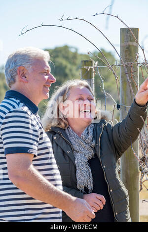 Betreiber und Vingerons am Schlitten boutique Hotel und Weingut im Hunter Valley, Nerina und Alistair Tringham prüfen ihre Reben Stockfoto