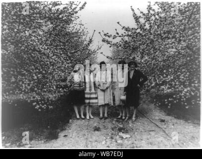 Fünf Frauen aus Winchester, Va. Die Zimmermädchen wird der Ehre sein, die Königin in der jährlichen Shenandoah Apple Blossom Festival, unter einigen der blühenden Bäume: Julia Rene, Susan Steck, Mary Russell, Lillian Smith und Elizabeth Hollin Abstract / Medium: 1 Fotoabzug. Stockfoto