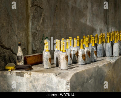 MASSA CARRARA, 23. August 2019 - siehe dazu Sekt, die klassische Methode im Steinbruch bei Fantiscritti. Trauben aus den Apuanischen Berge. Stockfoto