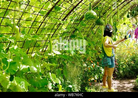 Frau unter selfie mit Stick, in großer, Tunnel-förmige Kabel Gitter Weinberge Kürbisse und Jardin des Plantes, Paris, Frankreich Stockfoto