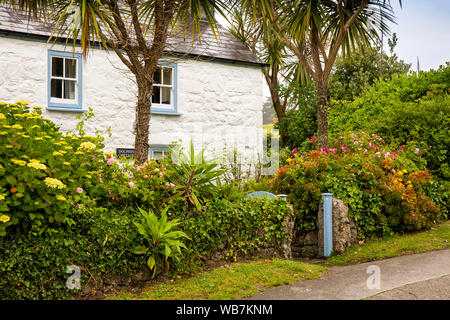 Großbritannien, England, Scilly Inseln, Tresco, Alte Grimsby, mit Blumen bepflanzten Garten von Dolphin Cottage traditionellen, weiß getünchten Häuschen Stockfoto