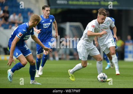 Sinsheim, Deutschland. 24 Aug, 2019. Sinsheim, Deutschland 24. August 2019 - 1.BL-19/20 - TSG Hoffenheim 1899 gegen Deutschland. Werder Bremen | Verwendung der weltweiten Kredit: dpa/Alamy leben Nachrichten Stockfoto