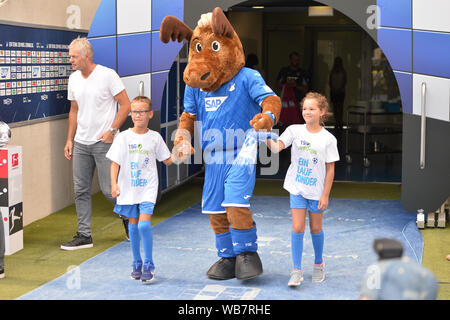 Sinsheim, Deutschland. 24 Aug, 2019. Sinsheim, Deutschland 24. August 2019 - 1.BL-19/20 - TSG Hoffenheim 1899 gegen Deutschland. Werder Bremen Maskottchen Hoffi mit Kindern der TSG Hoffenheim | Verwendung der weltweiten Kredit: dpa/Alamy leben Nachrichten Stockfoto