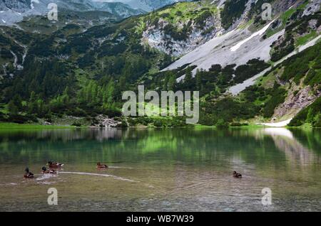 Seebensee mit schönen Reflexionen. Alpinen See in Tirol, Österreich, in der Nähe der Zugspitze Stockfoto