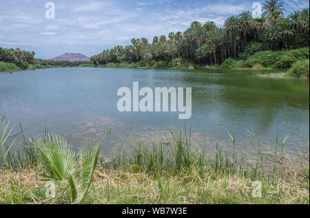 Schöne Aussicht auf die Lagune von San Ignacio Baja California Sur. Mexiko Stockfoto