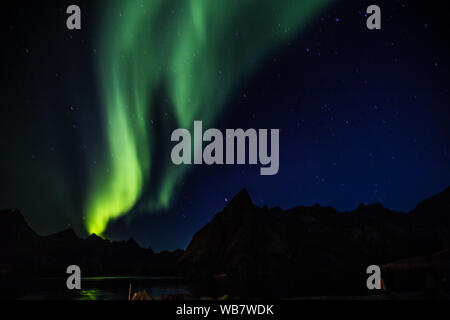 Nordlicht über Reine in Lofoten in Norwegen Stockfoto