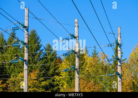 Power line Holz Polen in einem Herbst Wald Stockfoto