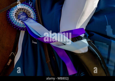 Rotterdam. Niederlande. 23. August 2019. Preisverleihung im Team Finale. Springen. Longines FEI Europameisterschaften. Kredit Elli Birke/SIP-Foto Agentur/Alamy leben Nachrichten. Stockfoto