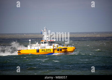 Nordsee in der Nähe von Westkapelle, Zeeland Provinz, Halbinsel Walcheren, Niederlande, Lotsenboot, Katamaran, bringt ein Pilotprojekt zu einem Seeschiff, für Eintrag Stockfoto