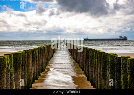 Strand im Badeort Dishoek, Provinz Zeeland Halbinsel Walcheren, Niederlande, Frachtschiff auf dem Weg in die Schelde Estuary, Wellenbrecher, Stockfoto