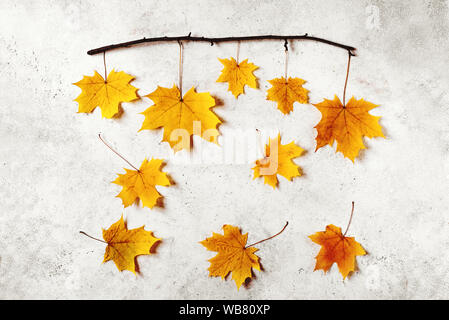 Gelbe ahorn Blätter flach. Herbstliche gelbe Blätter auf weißem Hintergrund, kopieren. Kreative saisonale Layout, Herbst Konzept. Stockfoto