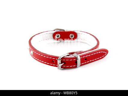 Rot Leder Halsband auf weißem Hintergrund. Es ist ein stilvolles Halsband für kleine Hunde. Stockfoto