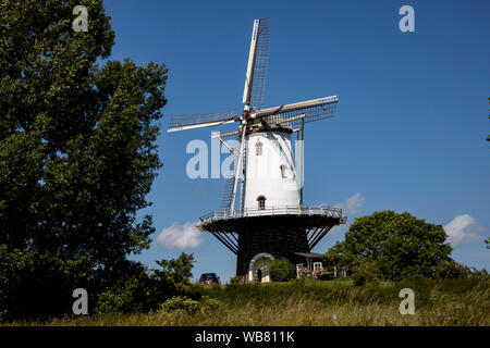 Das Dorf Veere, Provinz Zeeland, Niederlande, Windmühle De Koe, Stockfoto