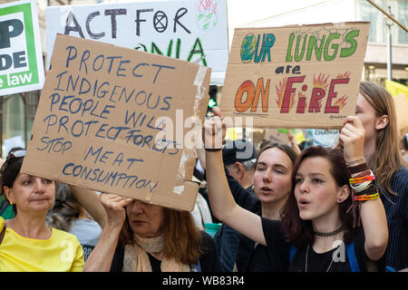 London, England, Großbritannien, 23. August 2019. Umweltaktivisten sammeln an der Brasilianischen Botschaft an die brennende Regenwälder zu protestieren Stockfoto