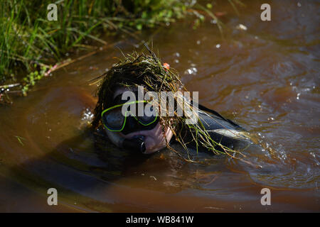 Ein Wettbewerber nimmt Teil an der Welt Bog Schnorcheln Meisterschaften an den Waen Rhydd Torf in Llanwrtyd Wells, Wales Moor. Stockfoto