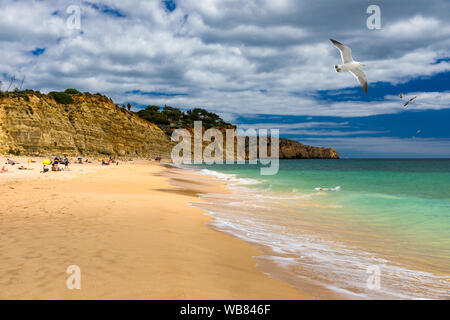 Praia de Porto de Mos mit Möwen über den Strand, Lagos, Portugal fliegen. Praia do Porto de Mos, Long Beach in Lagos, Algarve, Portugal. Stockfoto