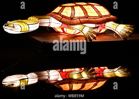 Weiße Nacht Arts Festival, beleuchtete Schildkröte Schildkröte, Carlton Gardens, Melbourne, Victoria, Australien Stockfoto