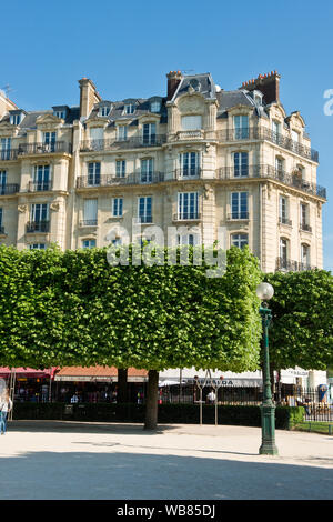 Die gepflegten Bäume von Square Jean XXIII. Hinter der Kathedrale Notre-Dame, Paris, Frankreich Stockfoto