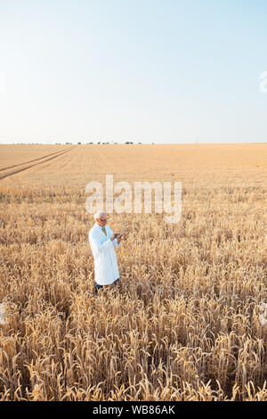 Landwirtschaft Wissenschaftler forschen in Korn test Feld Tracking Daten Stockfoto