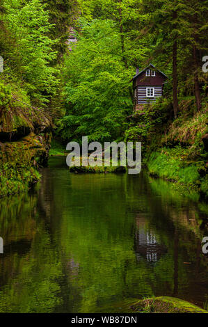 Schöne Hütte unter die Bäume sich im Fluss Kamenice, Nationalpark Böhmische Schweiz (Ceske Schweiz), Tschechische Republik Stockfoto