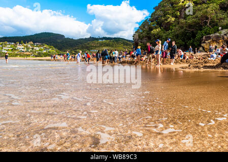 COROMANDEL, NEUSEELAND - Oktober 13, 2018: Touristen, graben Löcher in den Sand aus Vulkangestein an der Hot Water Beach Stockfoto