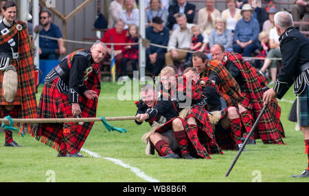 Lonach Sammeln, Schottland - 24.August 2019: Tauziehen im lonach Treffen in Schottland. Stockfoto