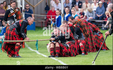 Lonach Sammeln, Schottland - 24.August 2019: Tauziehen im lonach Treffen in Schottland. Stockfoto