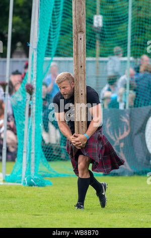 Lonach Sammeln, Schottland - 24.August 2019: Werfen der Caber Veranstaltung im lonach Treffen in Schottland. Stockfoto