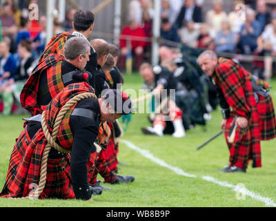 Lonach Sammeln, Schottland - 24.August 2019: Tauziehen im lonach Treffen in Schottland. Stockfoto