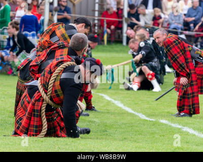 Lonach Sammeln, Schottland - 24.August 2019: Tauziehen im lonach Treffen in Schottland. Stockfoto