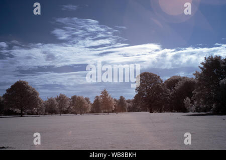 Infrarot Park & Landschaft Fotografie in Bristol UK übernommen. Stockfoto