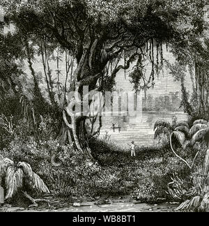 Südamerika. Peru, Nauta. Peruanischen Amazonas. Palta See. Regenwald. Zeichnung von Manuel Nao. Kupferstich von laporta. La Ilustracion Española y Americana, 15. Juli 1876. Stockfoto